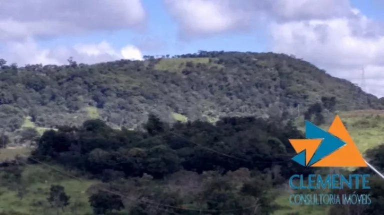 Imagem FAZENDA 85% URBANIZADAS , 102 HECTARES,04 NASCENTES