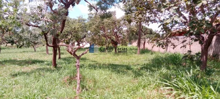 Imagem Lote em Condomínio Fechado para Venda em Brasília, Setor Habitacional Tororó (Jardim Botânico)