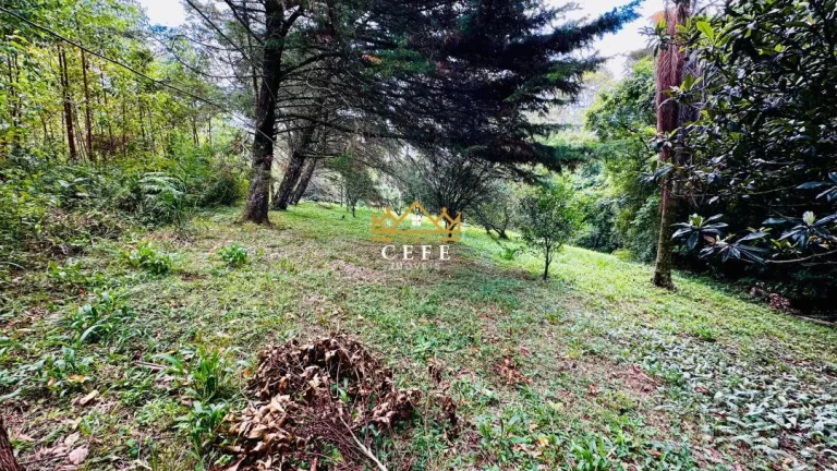 Imagem Chácara - Sítio com 2 Dormitorio(s) localizado(a) no bairro Padre Eterno Ilges em Santa Maria do Herval / RIO GRANDE DO SUL Ref.:1611
