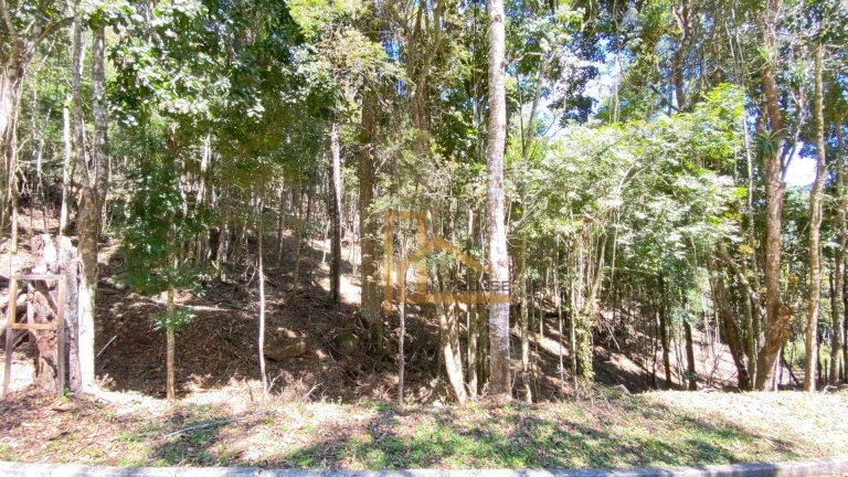 Imagem Terreno de 10 mil m² no Condomínio Grão Pará – Albuquerque