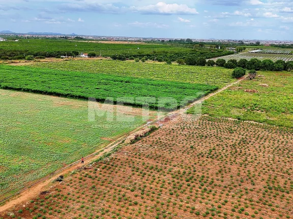 Imagem Fazenda com 116ha, Casa, Galpão, 25ha plantados e mais 32 prontos para plantar