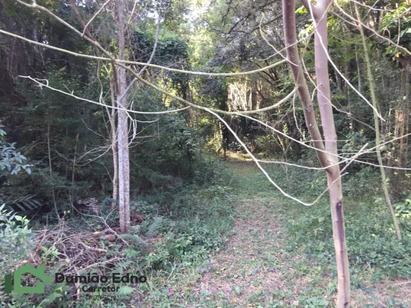 Imagem Chacara com 4100 metros, lago com peixe, churrasqueira, piscina, fogão alen