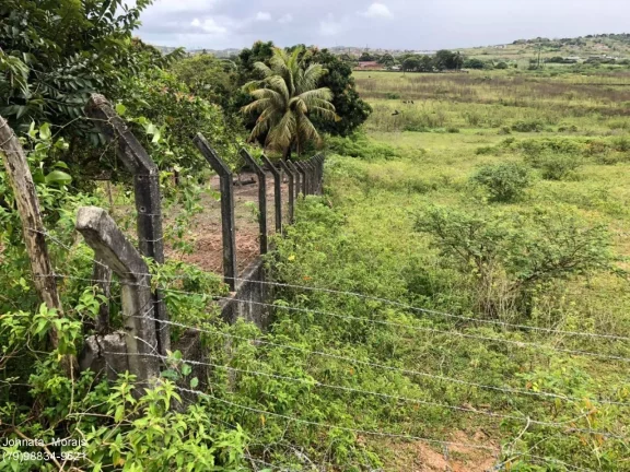 Imagem Lote de terreno no Socorro: Espaço amplo de 1200m²!