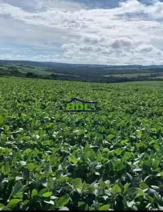 Imagem Fazenda em Pires do Rio com 75 Alqs em Lavouras.