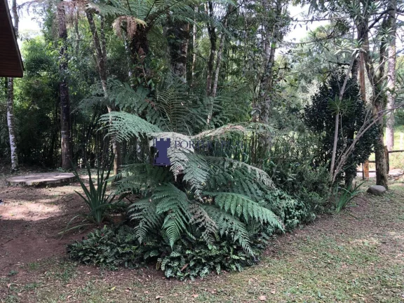 Imagem CHÁCARA NA REGIÃO DO BUGRE EM BALSA NOVA