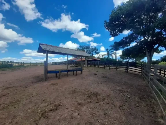 Imagem Fazenda à venda em Ibertioga, ZONA RURAL, 148ha