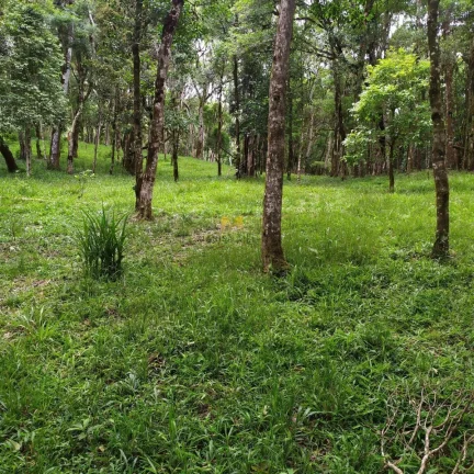 Imagem Chácara à venda no Recreio da Serra em Piraquara!!!