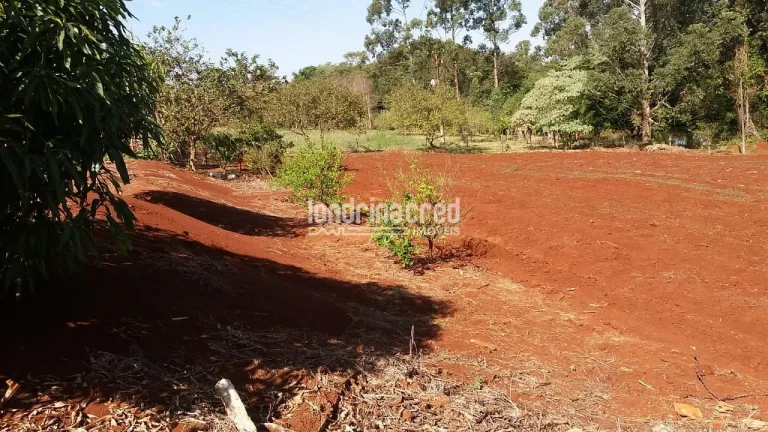 Imagem Chácara à venda 5800M², Zona Rural, Warta - PR