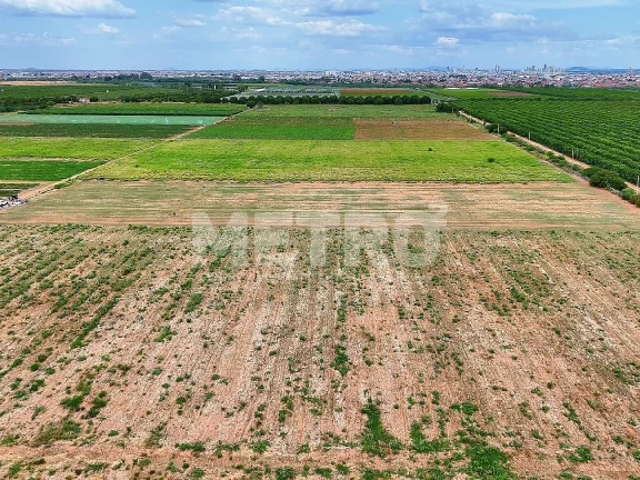 Imagem Fazenda com 116ha, Casa, Galpão, 25ha plantados e mais 32 prontos para plantar