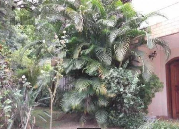 Imagem Casa com 3 dormitórios à venda, 390 m² por R$ 1.910.000,00 - Vila Leopoldina - São Paulo/SP