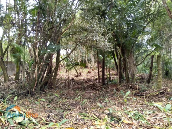 Imagem Área à venda, 4000 m² por R$ 1.200.000 - Região Central - Itapecerica da Serra/SP