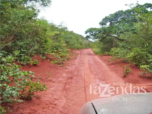 Imagem Fazenda à Venda, 17.000 m² em Zona Rural - Alto Parnaíba