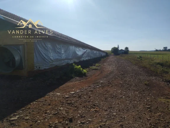 Imagem SITIO COMERCIAL em MARECHAL CÂNDIDO RONDON - PR, Zona rural