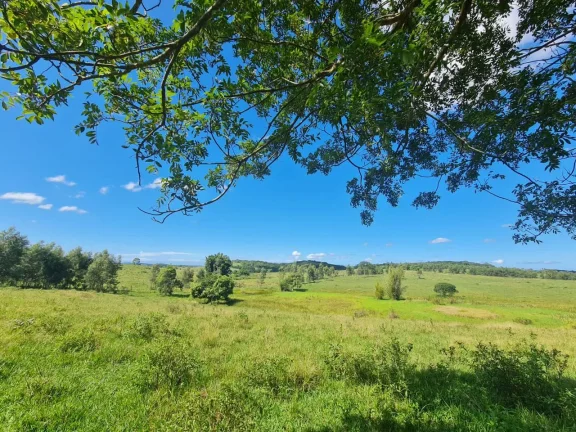 Imagem Vendo em Araruama fazenda 52 alqueires E 350 cabeças de gados.