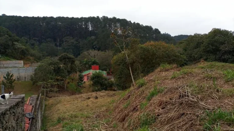 Imagem Terreno para Venda por R$500.000,00 - Arujazinho, Arujá / SP - Cód. BDI37422