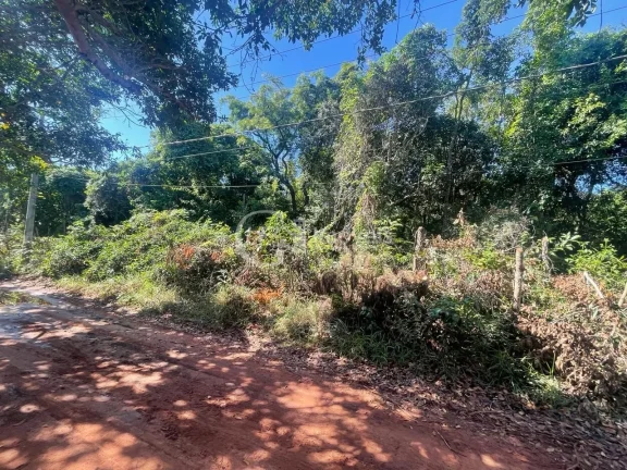 Imagem Chácara à Venda em Campo Grande-MS: 10.000 m² na Chácara dos Poderes!