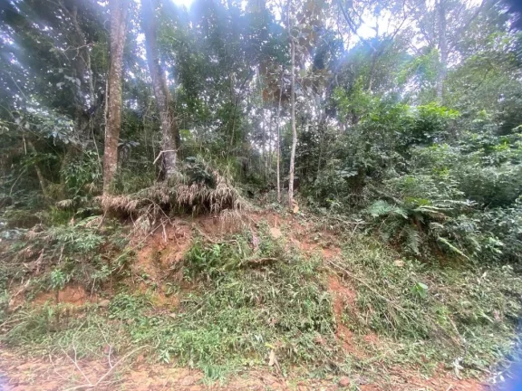 Imagem Terreno à venda, 300 m² por R$ 45.000,00 - Parque Astúrias - Suzano/SP
