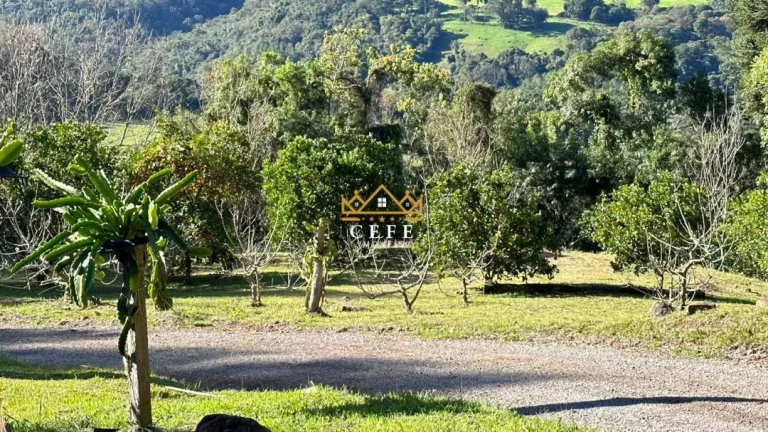 Imagem Chácara - Sítio com 4 Dormitorio(s) localizado(a) no bairro Linha Imperial em Nova Petrópolis / RIO GRANDE DO SUL Ref.:1506