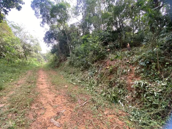Imagem Terreno à venda, 300 m² por R$ 45.000,00 - Parque Astúrias - Suzano/SP