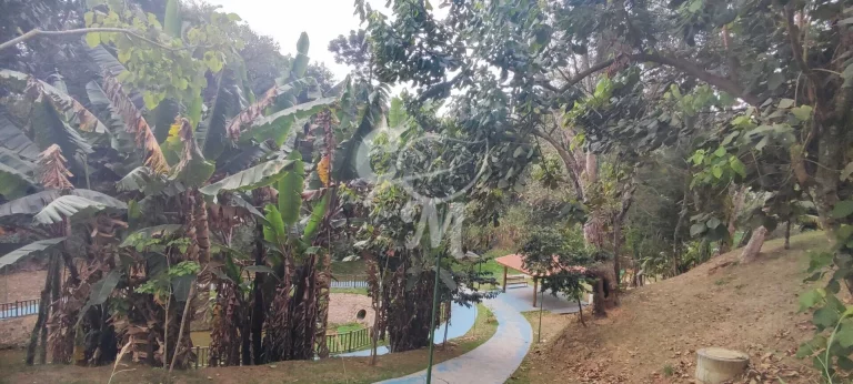Imagem Terreno de 600m² - Parque Santa Gertrudes