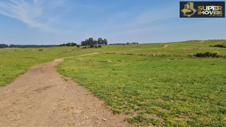 Imagem Fazenda Mista em Pedras Altas-RS