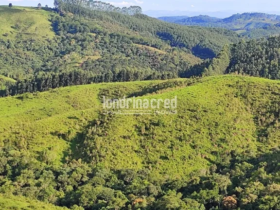 Imagem Chácara à venda 744000M², Zona Rural, Castro - PR