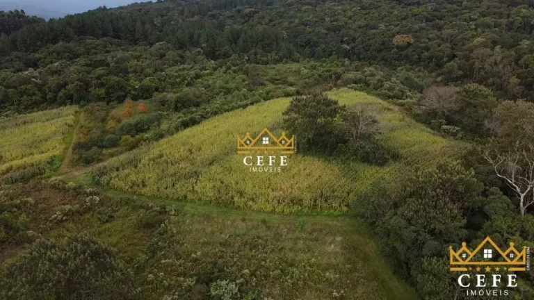 Imagem Sala Comercial à Venda, 200 m² em Serra Grande - Três Coroas