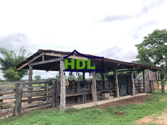 Imagem FAZENDA COM 1.180 ALQS ARAGUIANA MT