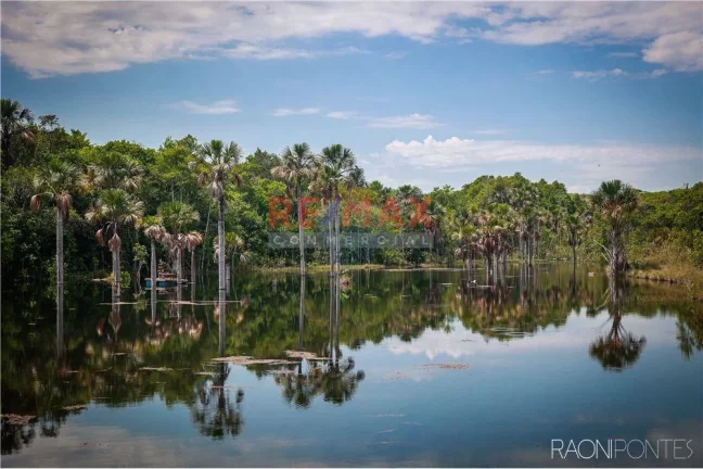Imagem Fazenda à Venda, 45.340.000 m² em Centro - Figueirão - Figueirão