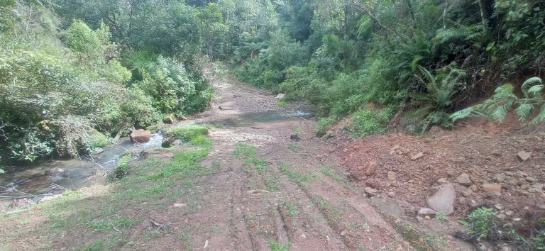 Imagem Área rural à venda em Santa Rosa de Lima/SC
