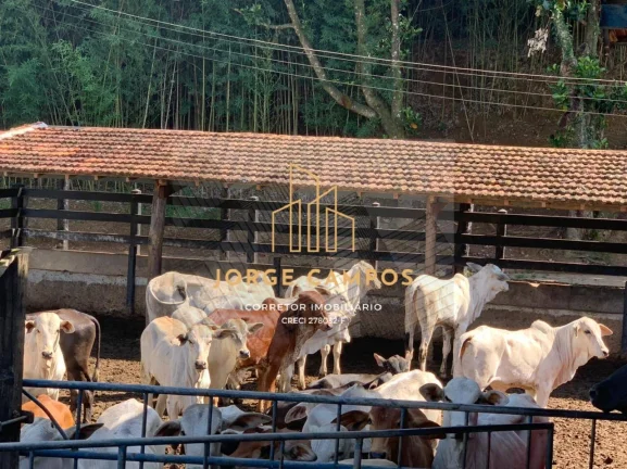 Imagem FA-2455 - BELA FAZENDA À VENDA NA REGIÃO DE LORENA/SP
