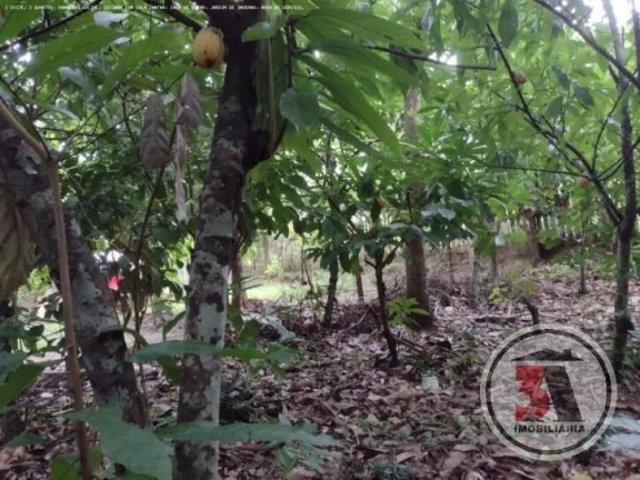 Imagem Chácara Estrada Japonês em Porto Velho