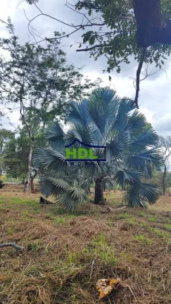 Imagem Chácara com 4 Hectares em Hidrolândia - GO