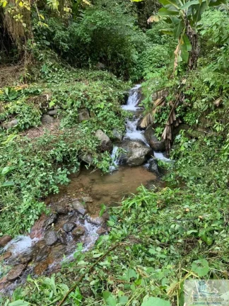 Imagem Rural - Chácara, para Venda em Rio dos Cedros/SC