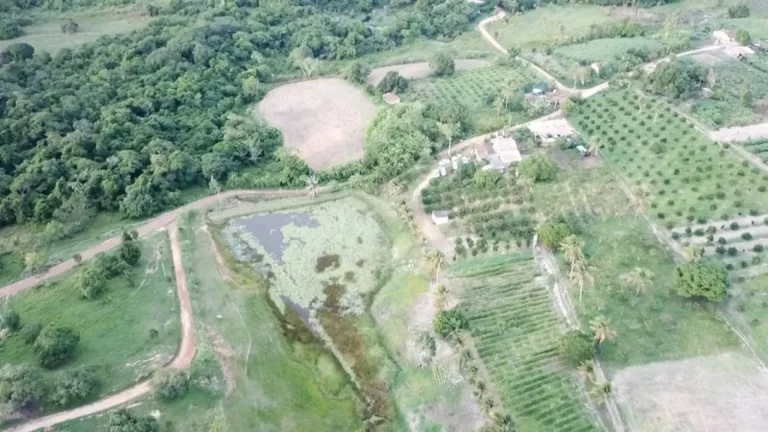 Sítio em Estância - Natureza e Conforto em 21.000m² - Consulte Agora!