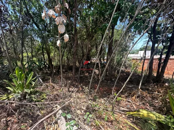 Imagem Lote - Bairro Campinho - Lagoa Santa