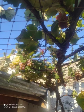 Imagem Vendo Excelente Casa no Recanto da Água Branca em Piracicaba