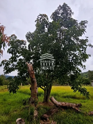 Imagem Sítio em Centro, Glorinha/RS