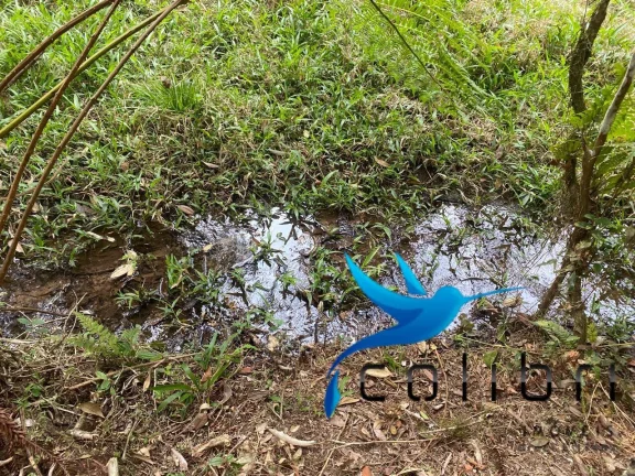 Imagem Terreno à Venda, 2.141 m² em Leão - Agudos Do Sul