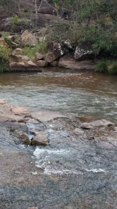 Imagem FAZENDA A VENDA EM ORIZONA-GO