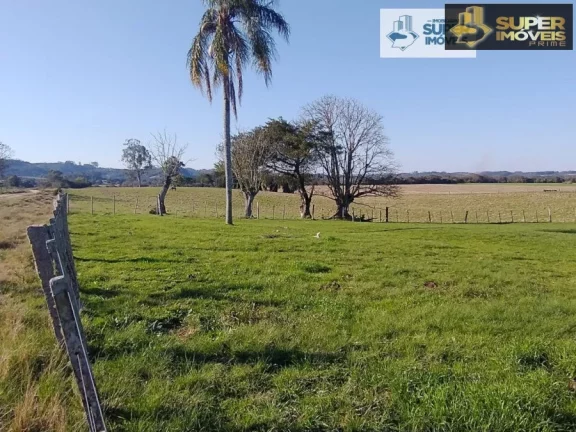 Imagem Fazenda Pecuária de excelência para Venda em Cristal-RS