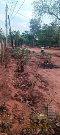Imagem Rancho para Venda em Três Lagoas / MS