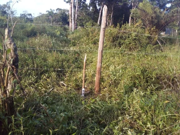 Imagem Terreno para Venda em Itanhaém, Aguapeú