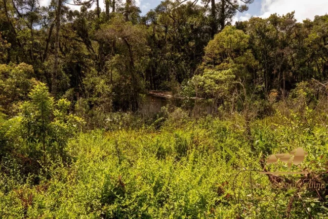 Imagem Terreno com 3132m a venda em Campos do Jordão