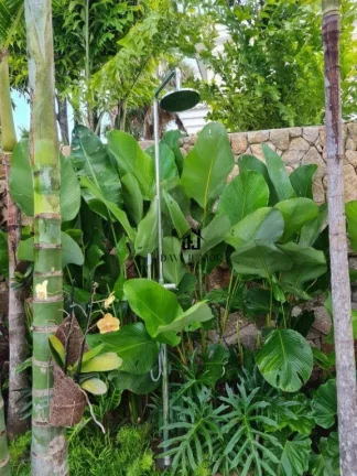 Imagem Casa com 4 suites com closet e varanda à venda, 677 m² por R$ 8.900.000 - Alphaville Nova Esplanada II - Votorantim/SP