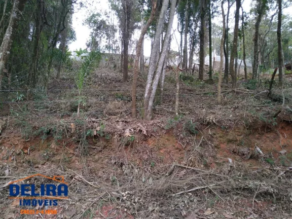 Imagem Terreno Escriturado em Terra Preta: Tranquilidade e Natureza Próxima a SP