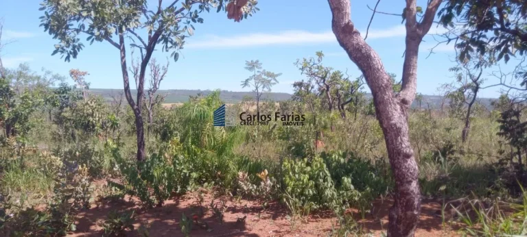 Imagem Chácara para Venda em Brasília, Setor Habitacional Jardim Botânico