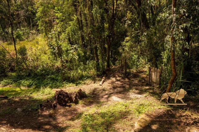 Imagem Terreno com 3132m a venda em Campos do Jordão