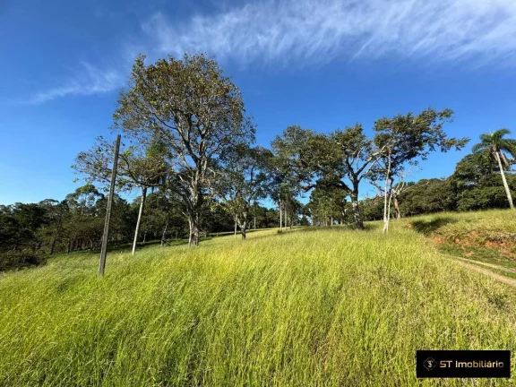 Imagem Área à venda em Terra Preta Mairiporã/SP - 48.000m² Próxima à Rodovia!