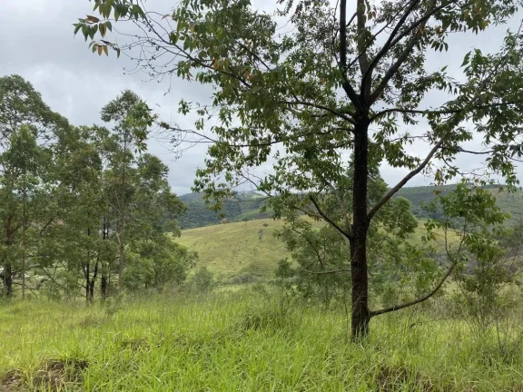 Imagem Excelente Oportunidade de Aquisição de Terreno com 13,8721 ha em Ressaquinha/MG